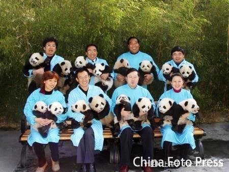 Pandas 14